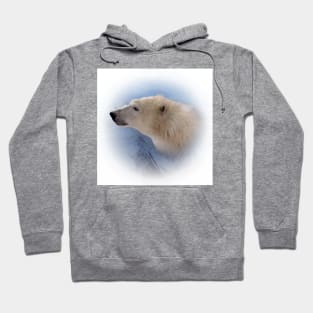 Polar bear Hoodie